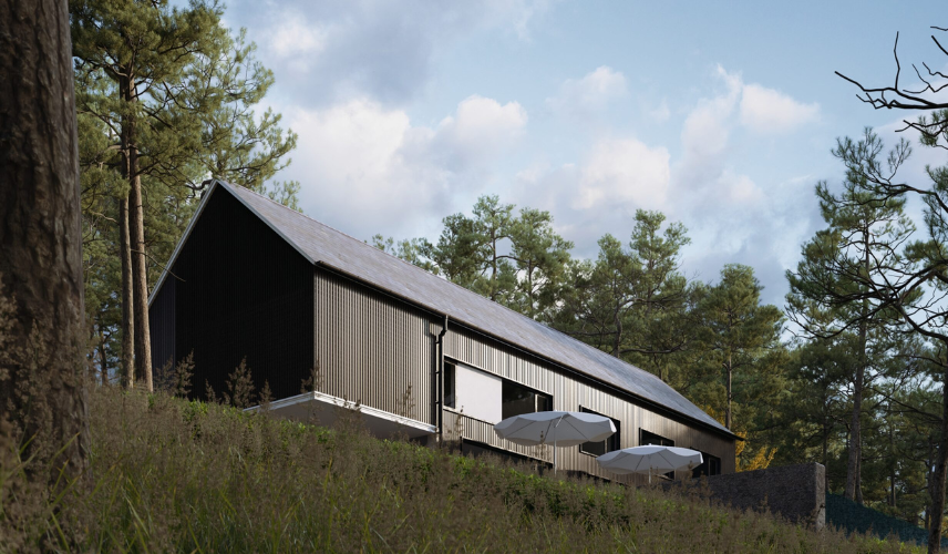 Modern Cabin in Woods 3D Rendering in Vietnam - Affordable Architectural Visualization